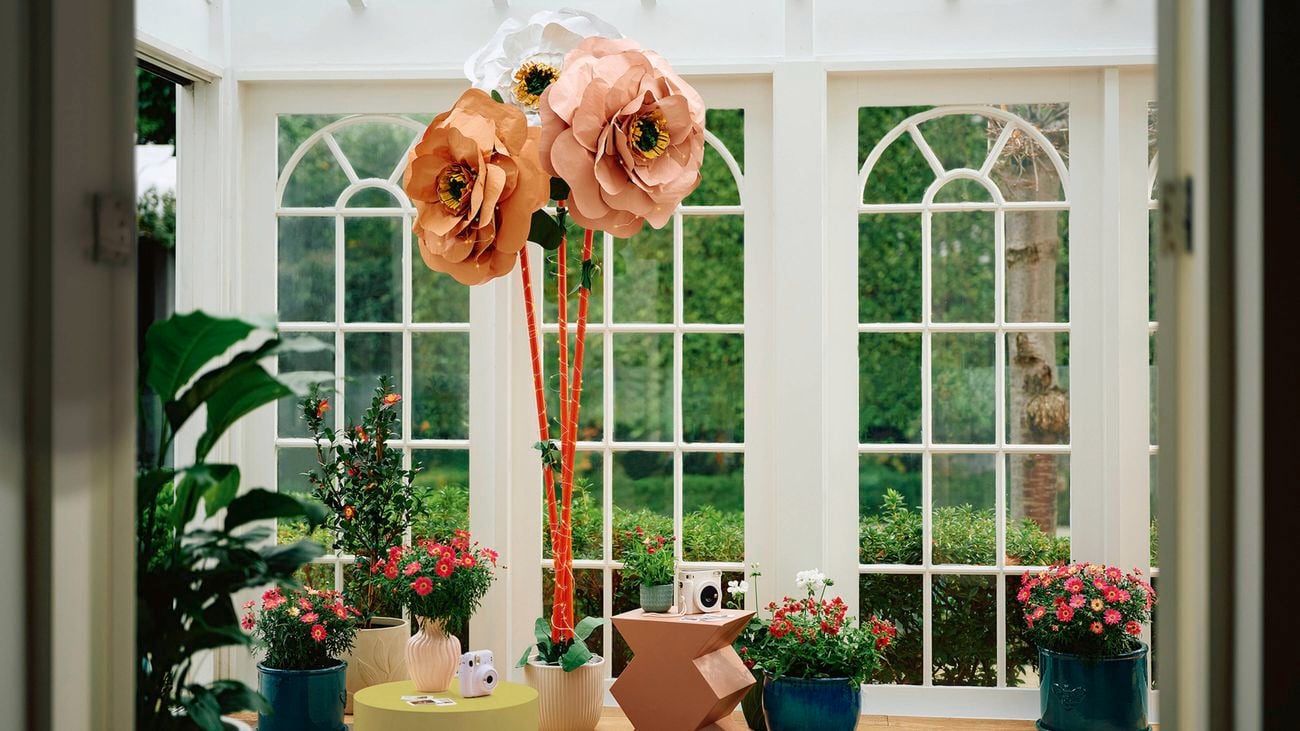 Large paper flowers displayed in a bright room with potted house plants and flowers.