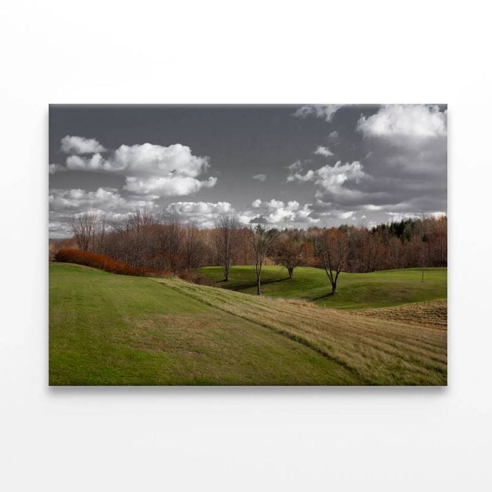 Tree Scenery with B&W Sky  Print 100% Australian Made 75 x 50cm  (Stretched)