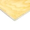 25 x 1200 x 2400mm StrongPly14 CD Structural Untreated Plywood