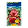 Fiesta Flower Bulbs Iris Germanica Red Zinger Bulb
