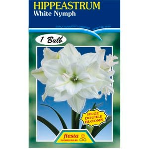Hippeastrum Double White Nymph Bulb