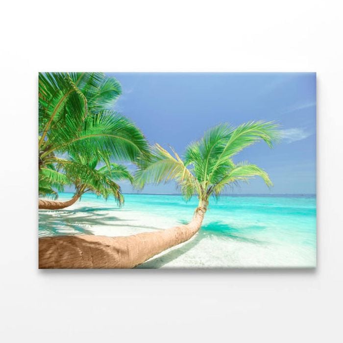 Coconut Trees Leaning to Sea  Print 100% Australian Made 50 x 40cm  (Acrylic)