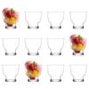 LAV Petit Glass Ice Cream Bowls - 240ml - Pack of 12