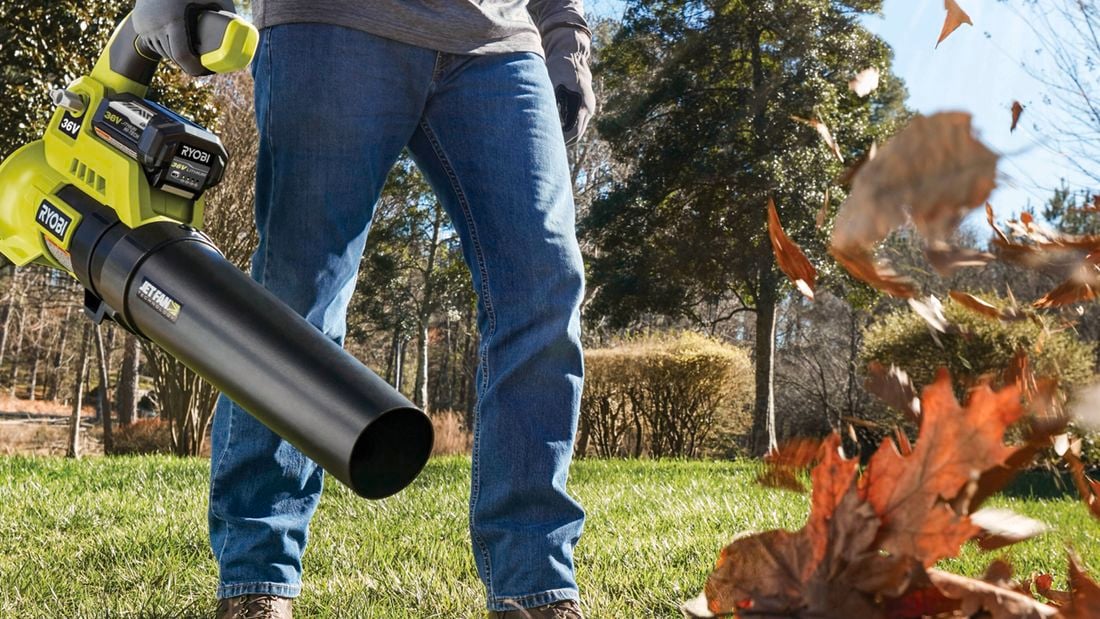 Person using a leaf blower to remove leaves off grass