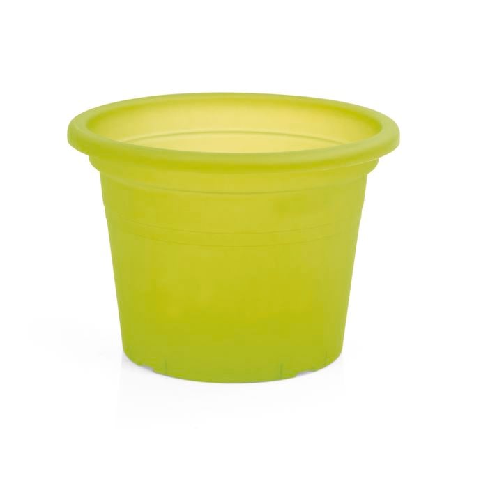 EDEN 25cm Green Transparent Cylinder Planter