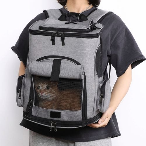 TODO Pet Backpack Carrier Bag - 0585848