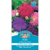 Mr Fothergill's Aster Californian Giant Seeds