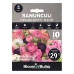Bloomin' Bulbs Platinum Ranunculus Italian Pastel Blend