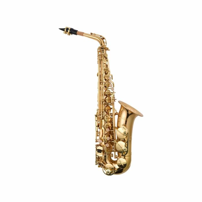 Axiom Beginners Alto Sax Outfit - School Band Saxophone
