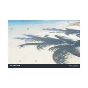Artey | Palm Reflections - Stretched Canvas - Stretched Canvas - 80 x 120 cm