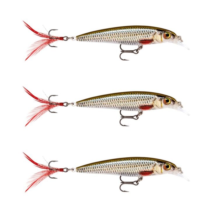 3x Rapala 6cm X Rap Jerkbait/Slashbait Hard Body Fishing Lures - Live Roach