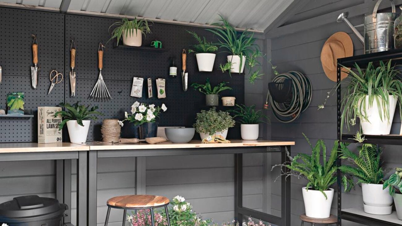 A garage with plants potted and hung on the wall.