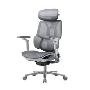 Hbada E3 Pro Ergonomic Mesh Office Chair - Adaptive Lumbar Support, Optional Footrest - Grey - Without Footrest