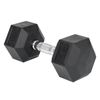 Ultimate 329 x 147 x 127mm 12.5kg Black with Chrome Handle Hex Dumbbell