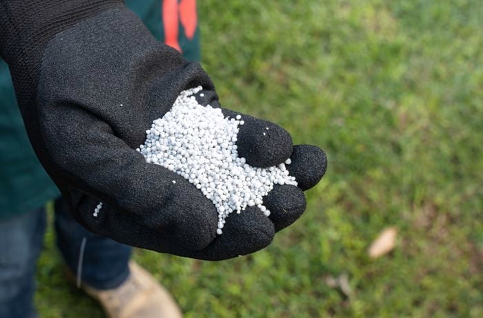 Bunnings lawn fertilisers for your grass type