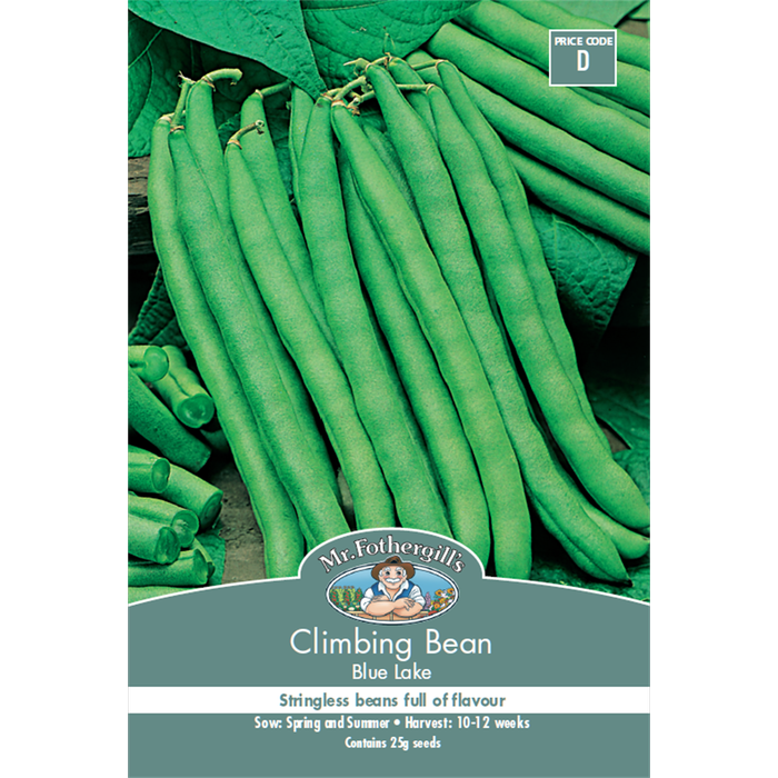 Mr Fothergill's Climbing Bean Blue Lake Seeds