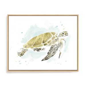 Artey | Watercolor Sea Turtle Study I - Framed Canvas - Natural Frame - 80 x 100cm