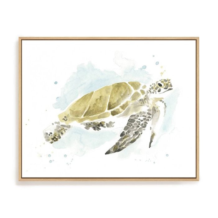 Artey | Watercolor Sea Turtle Study I - Framed Canvas - Natural Frame - 80 x 100cm