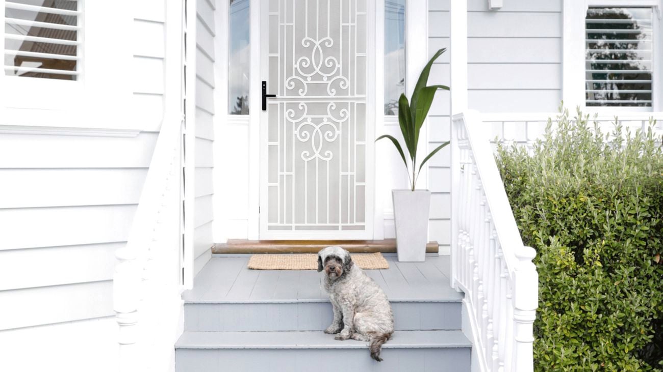 White weatherboard house with a front porch, grey steps, and a white patterned security screen door. A small dog sits on the steps, a potted plant and white railing beside a trimmed hedge.