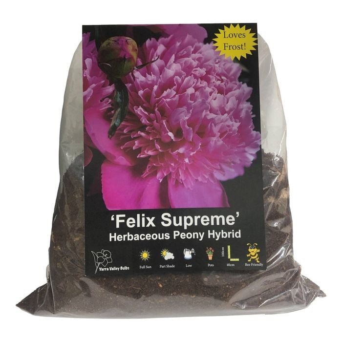 Yarra Valley Bulbs Peony Felix Supreme - 1 Pack