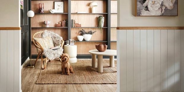 Modern living room with dark built-in shelving featuring arched niches, styled with books, ceramics and plants, alongside a rattan chair, side tables and a small dog on a woven rug.