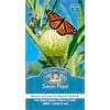 Mr Fothergill's Seed Swan Plant