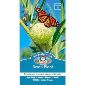 Mr Fothergill's Seed Swan Plant