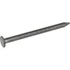 Palliside 40 x 2.50mm 5kg Galvanised Flat Nail