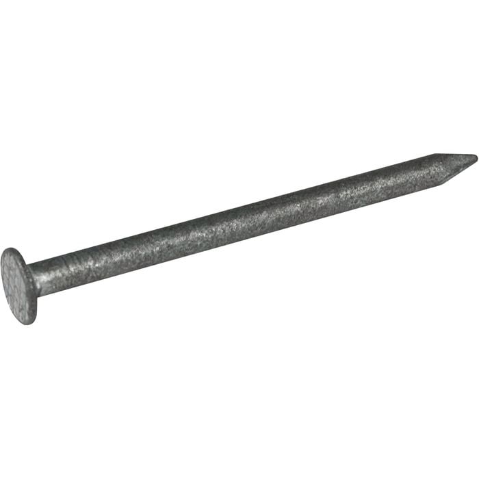Palliside 40 x 2.50mm 5kg Galvanised Flat Nail