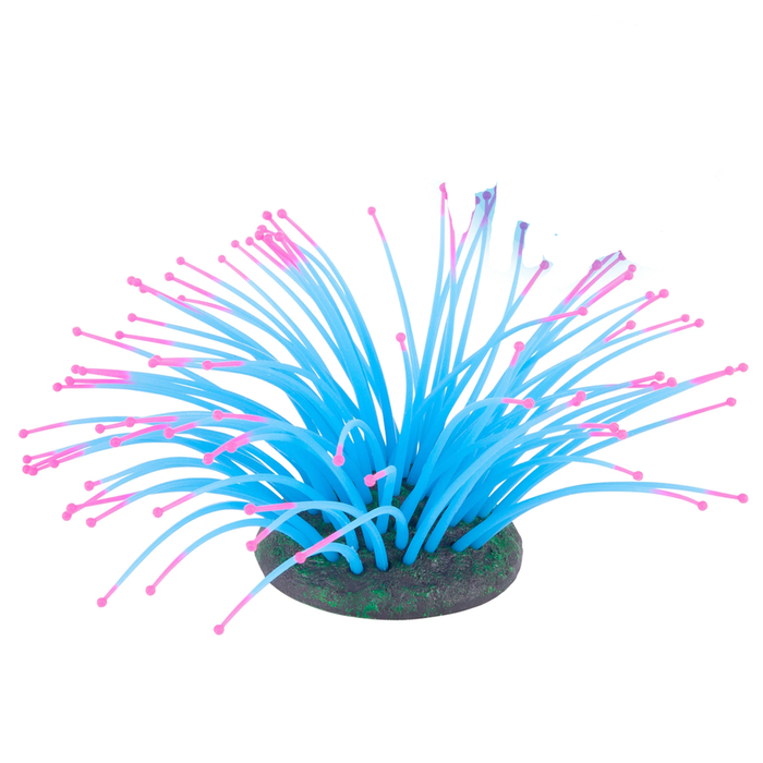 Kazoo Silicone Plant - Sea Anemone Blue (19650)
