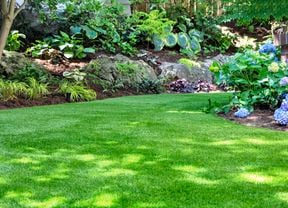 DIY– Header – Top 10 Must-Have Lawn Care Products