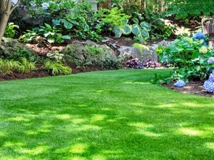 DIY– Header – Top 10 Must-Have Lawn Care Products