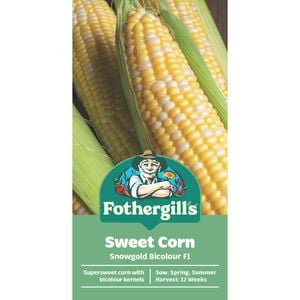 Fothergill's Snow Gold Sweet Sweet Corn Vegetable Seeds
