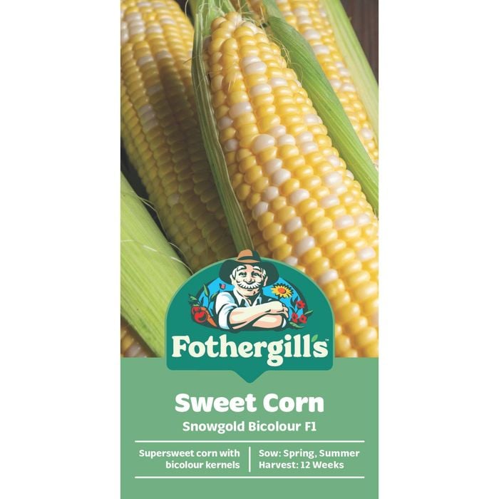 Fothergill's Snow Gold Sweet Sweet Corn Vegetable Seeds