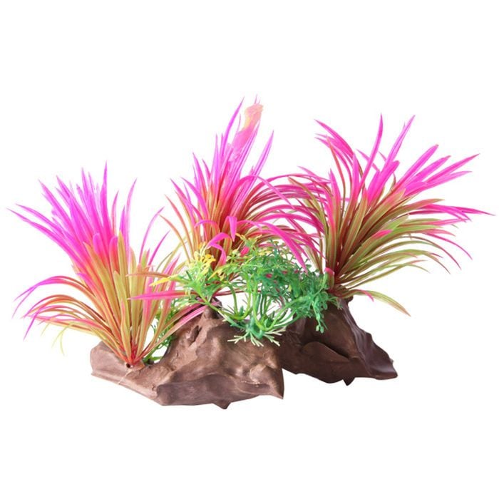 Aqua One Ecoscape Dracaena On Driftwood Pink (28470)