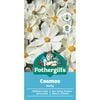 Mr Fothergill's Cosmos Purity Flower Seeds