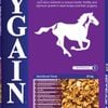 Hygain Studtorque Energy & Protein Stud Horses Feed 20kg
