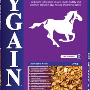 Hygain Studtorque Energy & Protein Stud Horses Feed 20kg