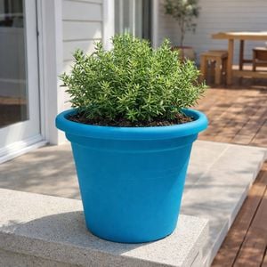 Moda 25cm Aqua Transparent Round Cylinder Plastic Pot