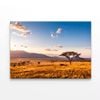 Sunset with Mountains  Print 100% Australian Made 150 x 100cm  (Stretched)
