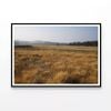 Grass with Trees in autumn   Print 100% Australian Made 90x60cm  (Poster)