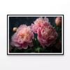 Fresh Pink Peonies Vase  Print 100% Australian Made 90x60cm  (Poster)