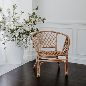 Home Bazar Rattan Bali One Seater 