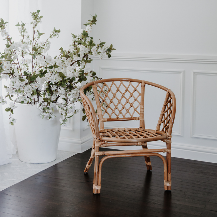 Home Bazar Rattan Bali One Seater 