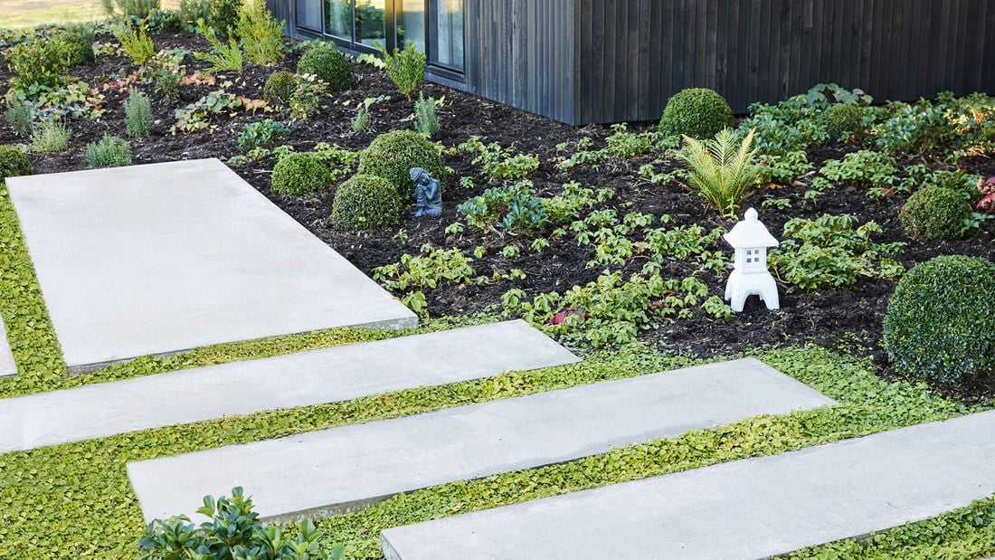 A concrete stepping-stone path with green groundcover between slabs beside a mulched garden of small shrubs, ornaments and round hedges.