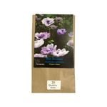 Yarra Valley Bulbs Anemone De Caen Bicolour - 20 Pack