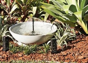 A small water fountain in a round basin surrounded by various plants and mulch in a garden setting.   