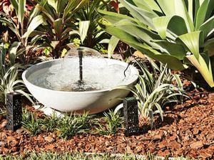 A small water fountain in a round basin surrounded by various plants and mulch in a garden setting.   