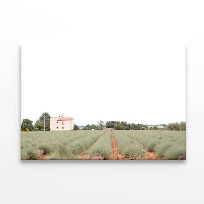 House In a Field with Grass  Print 100% Australian Made 120 x 90cm  (Stretched)