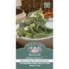 Mr Fothergill's Broccoli Kailaan Express F1 Seeds